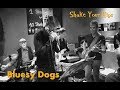 Bluesy Dogs  -  Shake Your Hips - au Zen Bar Paris 3 mars 2018