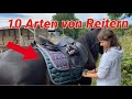 10 Arten von Reitern | Seepferd