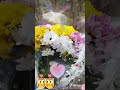 С праздником, 8 Марта! #8марта #женскийдень #праздник
