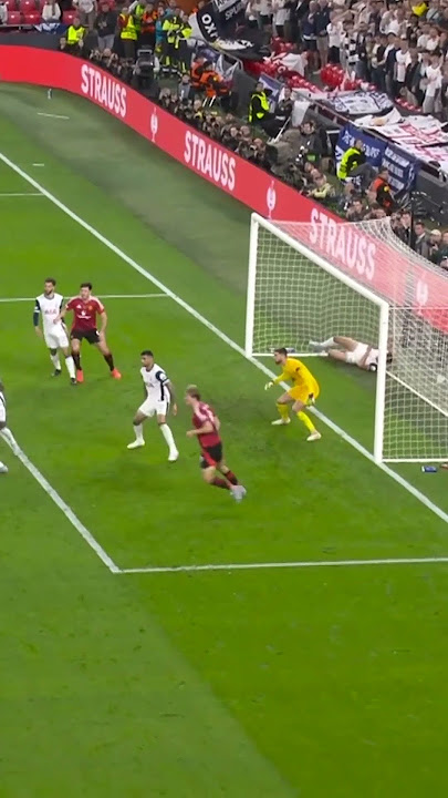 A goal-line clearance that will be remembered forever.