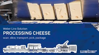 Line solution for processing cheese | weSCAN, weSLICE 9500, wePICK, wePACK, weSORT