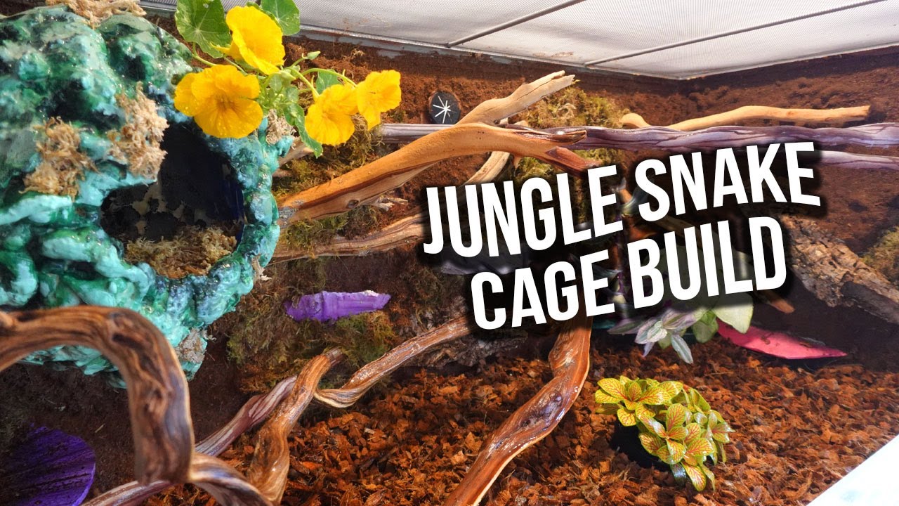 Snake Enclosure Build Using A ZenHabitats Enclosure