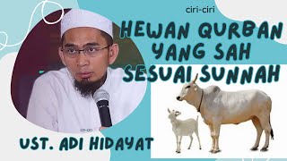 ciri ciri HEWAN QURBAN YANG SAH SESUAI SUNNAH