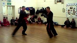 Reverse Punch, Pushing Front Kick
