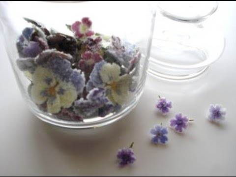 簡単おやつの 花びらの砂糖漬け がとってもおしゃれでかわいい Simple Snack Of Petals Candied Youtube