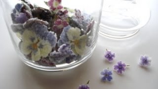 簡単おやつの 花びらの砂糖漬け がとってもおしゃれでかわいい Simple Snack Of Petals Candied Youtube