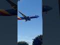 Southwest Boeing 737-800 landing at LAX airport #boeing737 #aviation #southwestairlines #fypシ