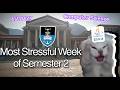 Most stressful week of Semester 2 at UCT | 1st Year Computer Science student