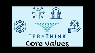 Detailed TeraThink Core Values Profile