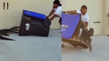 Gator vs. Garbage Can