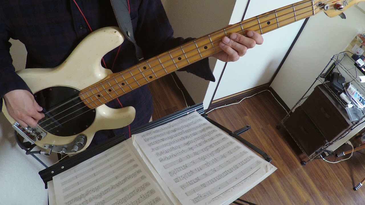 Red Hot Chili Peppers Magic Johnson (bass cover) YouTube