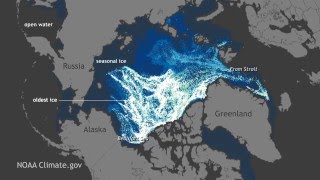Watch 25 Years of Arctic Sea Ice Disappear in 1 Minute