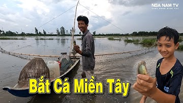 Đẩy Côn Bắt Cá Mùa Nước Nổi Miền Tây Cá Thấy Mê/Fishing/NGÃ NĂM TV
