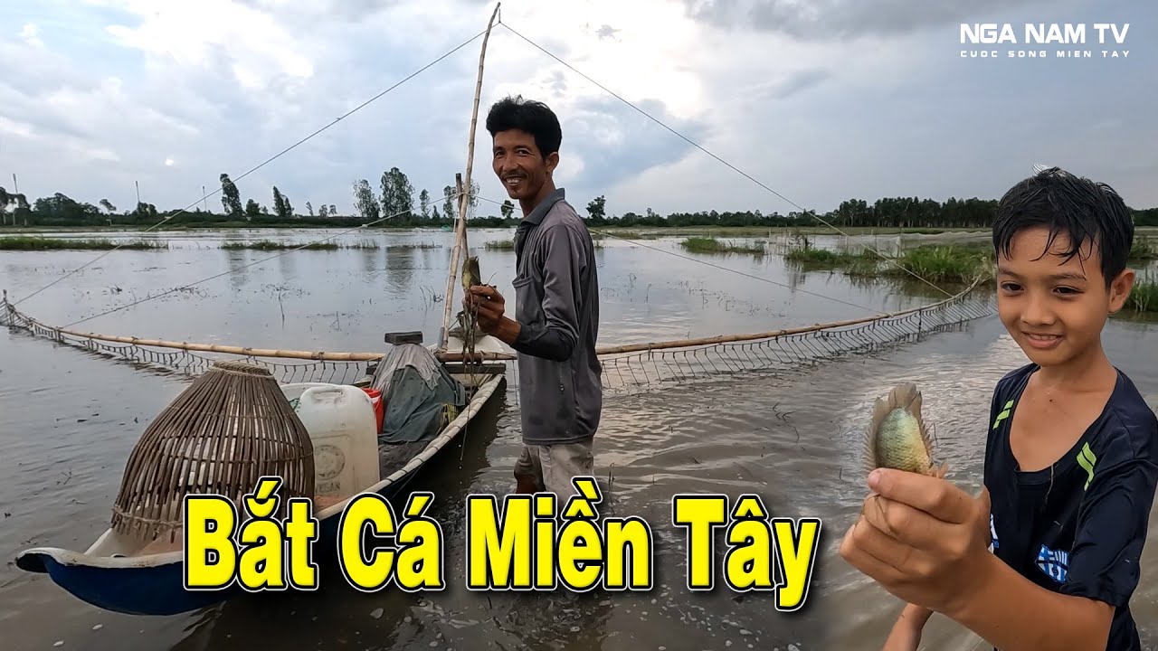 Đẩy Côn Bắt Cá Mùa Nước Nổi Miền Tây Cá Thấy Mê/Fishing/NGÃ NĂM TV ...