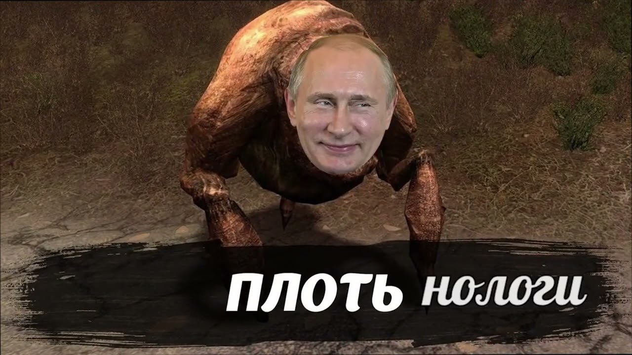 Плоти нологи