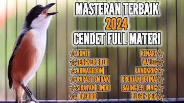 MASTERAN TERBAIK CENDET FULL TEMBAKAN MATERI ISTIMEWA 100% AMPUH BUAT MASTERAN CENDET MANAPUN