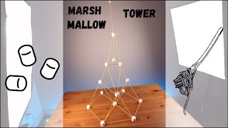A Marshmallow & Spaghetti Structure!
