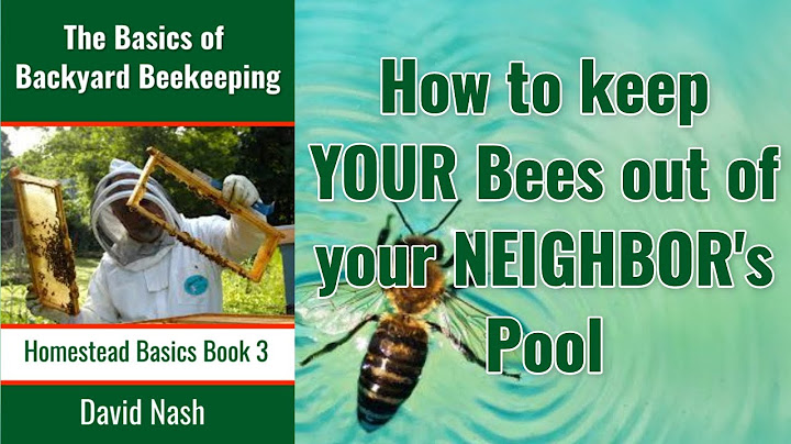 How To Keep Your Bees Out of Your Neighbor's Pool