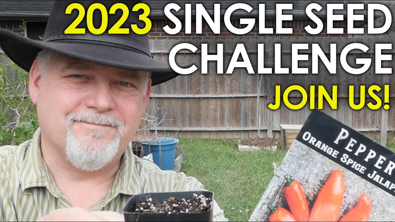 Single Seed Challenge 2023 Kickoff! || Black Gumbo
