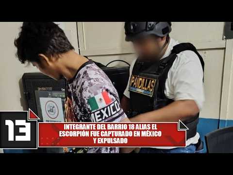 Barrio 18 member alias "El Escorpión" captured in Mexico and expelled