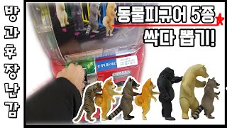 [방과후장난감] 5화 동물피규어 5종 싹 다 뽑기!