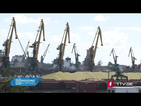 რეალური სივრცე - ფოთელები ქალაქში ჰაერის ხარისხის გამზომველი სადგურის არსებობას ითხოვენ