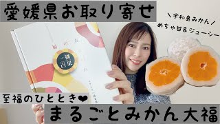 まるごとみかん大福【愛媛県お取り寄せ】