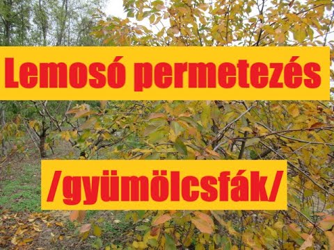 Videó: Benzinpermetező: Hogyan Válasszunk Kerekes Kerti Készüléket Fák Permetezésére? A Gyártók Minősítése