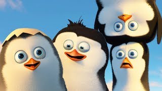 DreamWorks Madagascar em Português | Os Pinguins de Madagascar -Trecho Exclusivo |Desenhos Animados