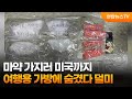 마약 가지러 미국까지…여행용 가방에 숨겼다 덜미 / 연합뉴스TV (YonhapnewsTV)