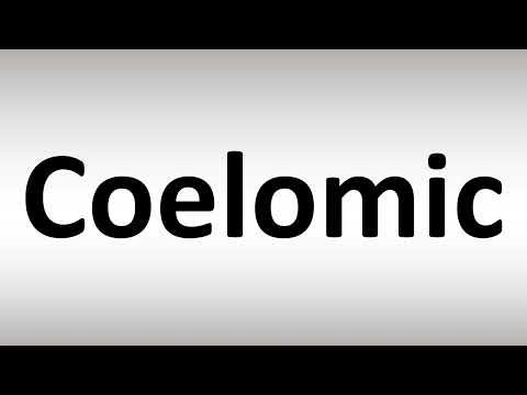 Video: Celomico è una parola?