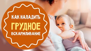 Как наладить грудное вскармливание