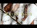 Rainy Days by @fatherrdiff