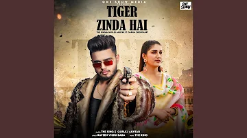 Tiger Zinda Hai