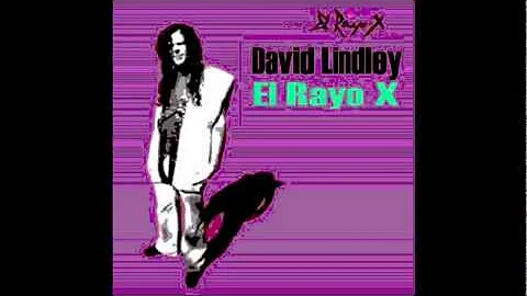 David Lindley - Don't Look Back (El Rayo-X, 1981)