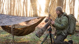 BADGERS - Photographing a Unique Moment | bts: low light focus and high iso wildlife photography