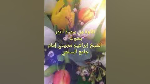 تلاوة من سورة النور بصوت الشيخ إبراهيم مجيدي