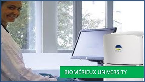 GENE-UP: 48 Hour Aspergillus PRO Assay Workflow for Cannabis Testing