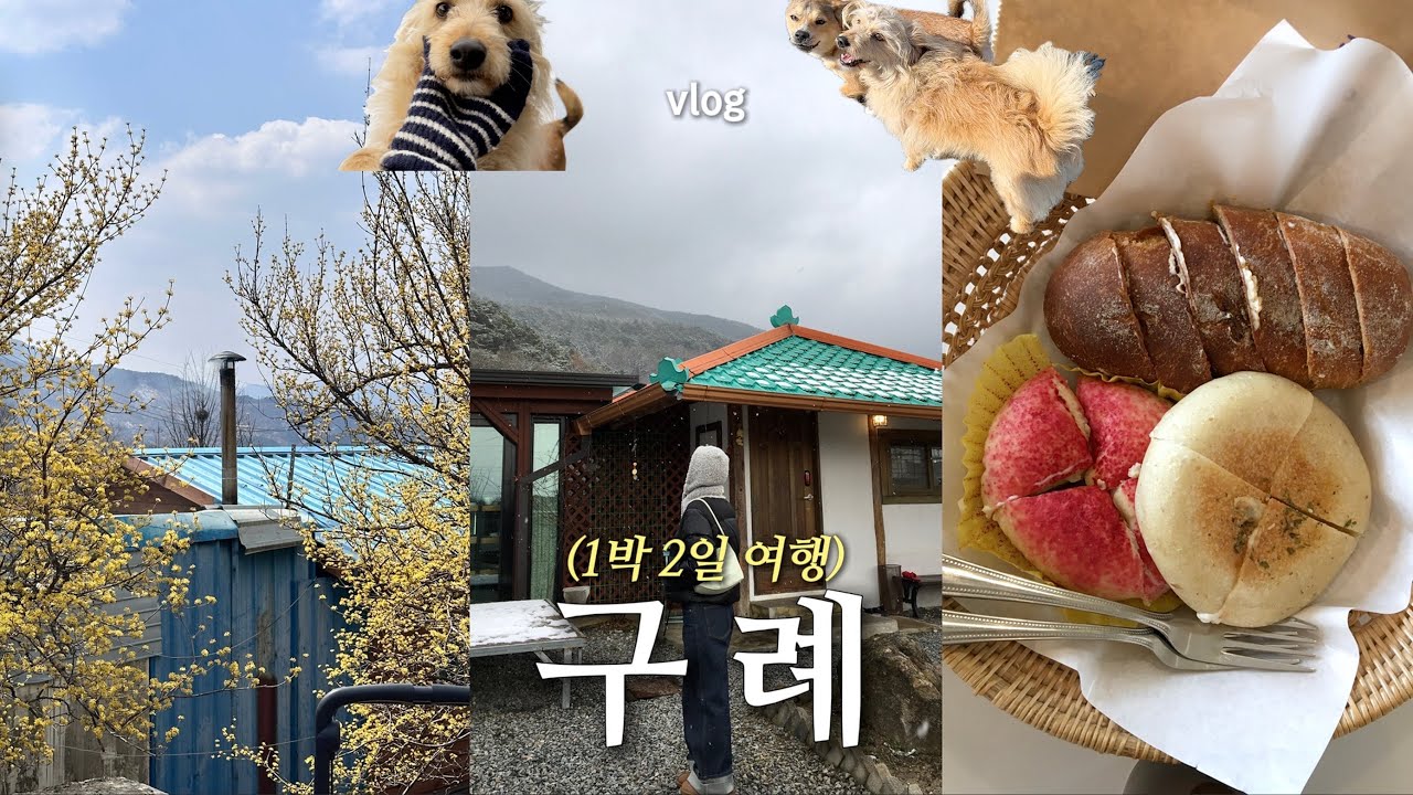 구례 𝚟𝚕𝚘𝚐 .* 그래 , 구례여행 𝚐𝚛𝚎𝚊𝚝 🌼  산수유축제 ・ 촌캉스 숙소에서 혼술 ・ 최애 빵집 ・ 화엄사