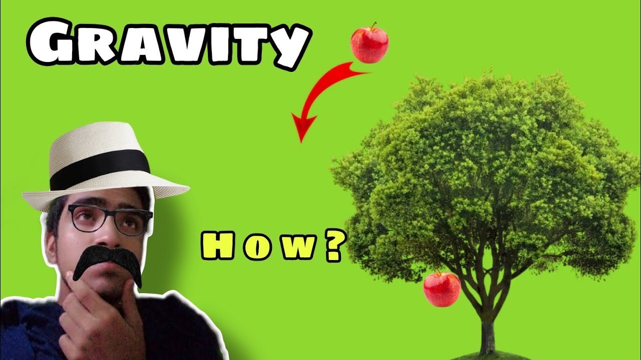 Find How Gravity Works || Real Life Experiment || Life Hack Vs Reality ...
