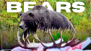 5 Epic Bear Encounters!!! | S10e5 | Limitless Outdoors | Presented By Eberlestock