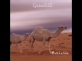 شيلة يانادية كان ماتدرين بمهلي
