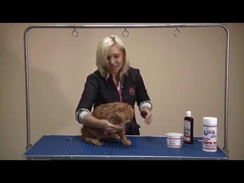 Как помыть кота  -  груминг кошек