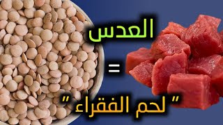 صدق من قال | العدس هو لحم الفقراء | قيمة العدس الغذائية و أهم فوائده الصحية