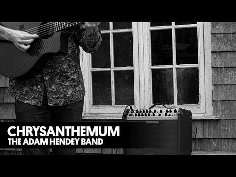 Chrysanthemum Performance | The Adam Hendey Band