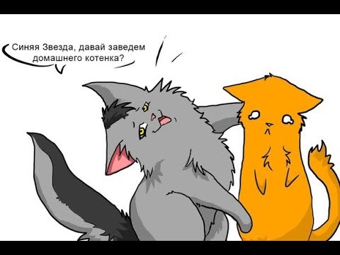 картинки коты воители приколы онлайн картинки коты воители приколы