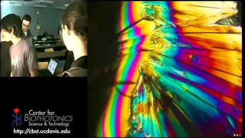 Hands-on Spectrophotometry with Light Sources
