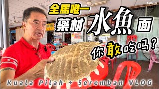 【全馬唯一  你敢吃嗎？】賣水魚要特別牌照？庇勞 芙蓉 美食探店