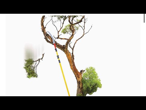 Hand-Powered Pruning Saw with Telescopic Pole, Coconut Plucker and Fruit Picker