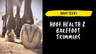 あなたの馬をトリミングする裸足のHoofオタク